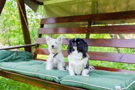 Poppelstrand Nuuksio, Pet Friendly Guest Apartment 外观 照片